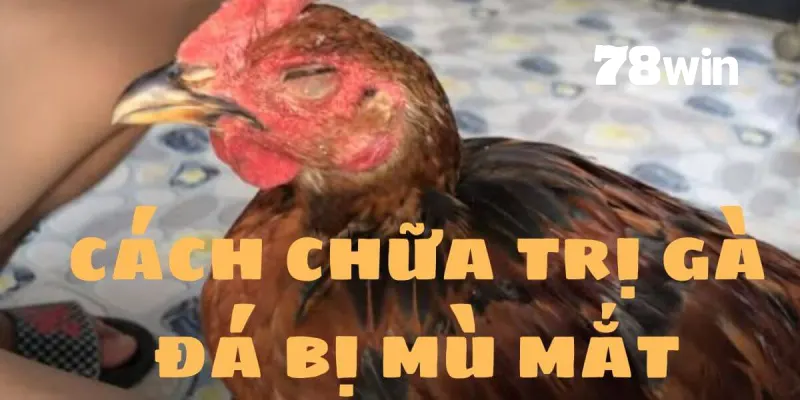 Những lưu ý quan trọng khi sử dụng các biện pháp phục hồi thị giác