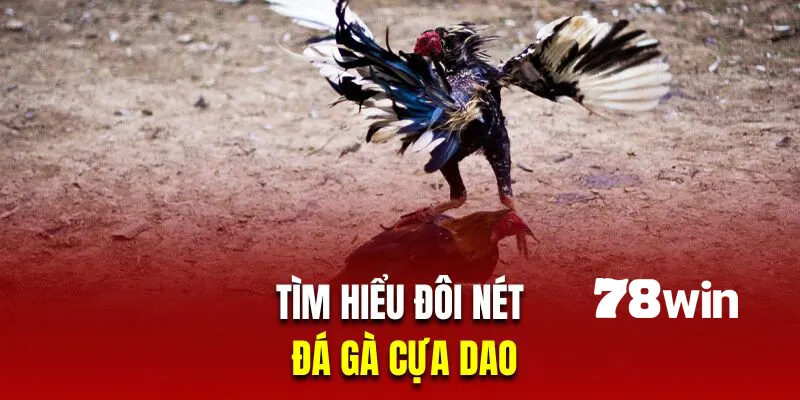 Tìm hiểu thông tin về hình thức đá gà cựa dao